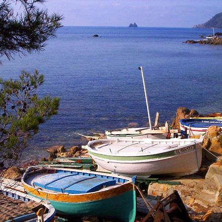 "L'Hippocampe", Climatise, 60 M2 , 2 Chambres, Tres Calme, Plage Des Sablettes Et Commerces A 3 Minutes A Pied, Wifi, Parking Gratuit, Lit King Size La Seyne-sur-Mer Bagian luar foto