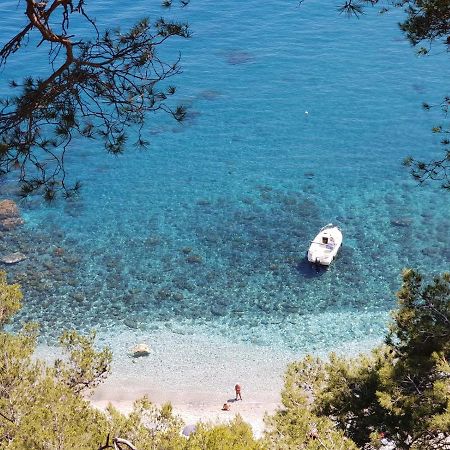 "L'Hippocampe", Climatise, 60 M2 , 2 Chambres, Tres Calme, Plage Des Sablettes Et Commerces A 3 Minutes A Pied, Wifi, Parking Gratuit, Lit King Size La Seyne-sur-Mer Bagian luar foto