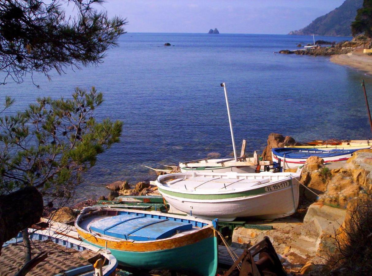 "L'Hippocampe", Climatise, 60 M2 , 2 Chambres, Tres Calme, Plage Des Sablettes Et Commerces A 3 Minutes A Pied, Wifi, Parking Gratuit, Lit King Size La Seyne-sur-Mer Bagian luar foto