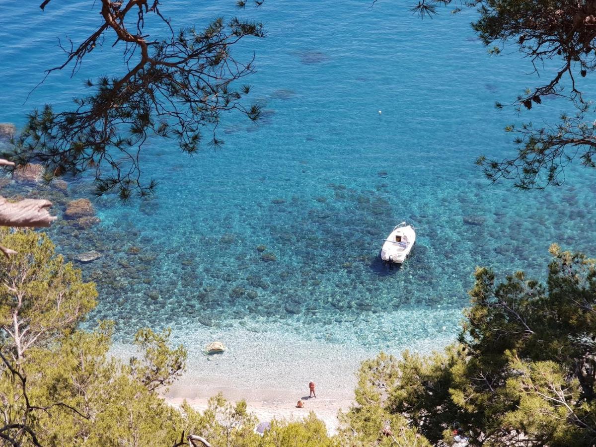 "L'Hippocampe", Climatise, 60 M2 , 2 Chambres, Tres Calme, Plage Des Sablettes Et Commerces A 3 Minutes A Pied, Wifi, Parking Gratuit, Lit King Size La Seyne-sur-Mer Bagian luar foto